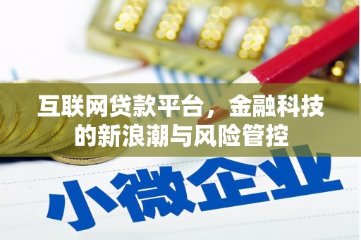 应县互联网贷款平台，金融科技的新浪潮与风险管控