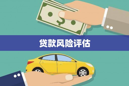应县贷款风险评估