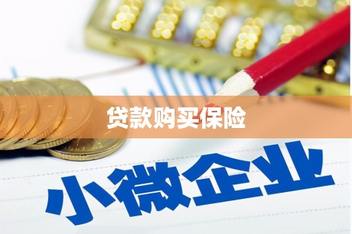 应县贷款购买保险