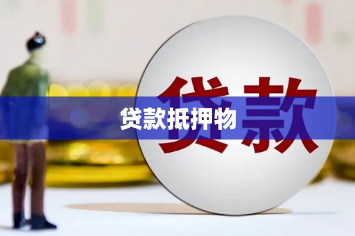 应县贷款抵押物