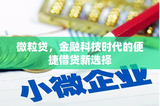 应县微粒贷，金融科技时代的便捷借贷新选择