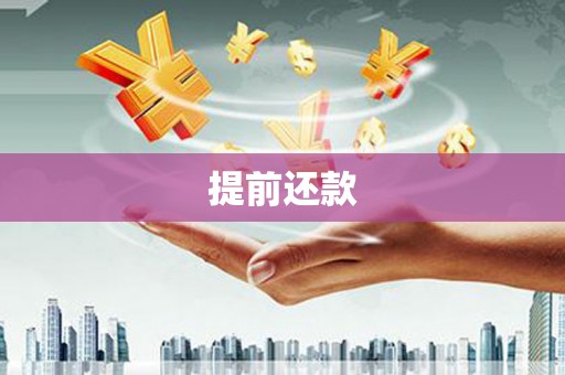 应县提前还款
