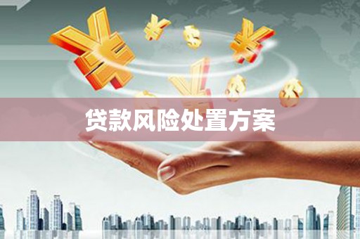 应县贷款风险处置方案