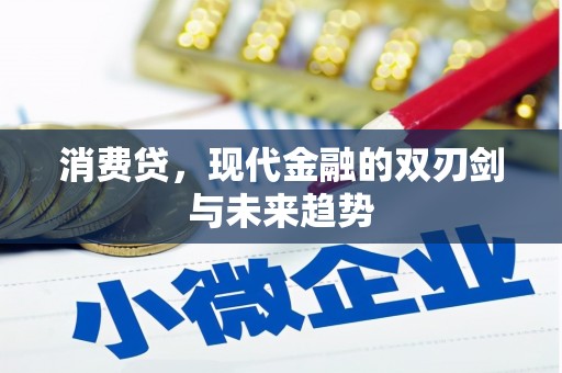 应县消费贷，现代金融的双刃剑与未来趋势