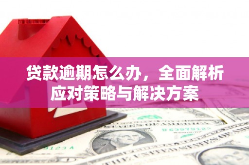 应县贷款逾期怎么办，全面解析应对策略与解决方案