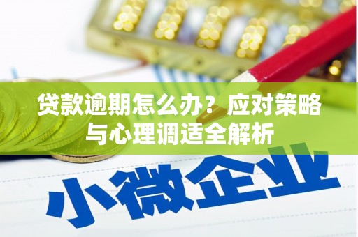 应县贷款逾期怎么办？应对策略与心理调适全解析