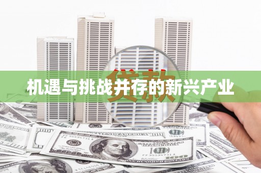 应县机遇与挑战并存的新兴产业