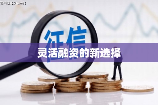 应县灵活融资的新选择