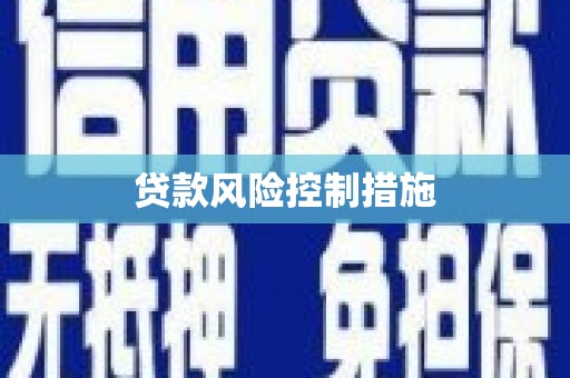 应县贷款风险控制措施