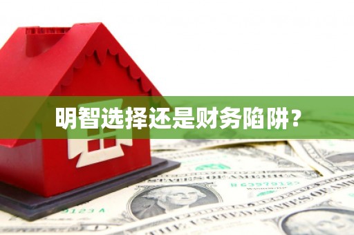 应县明智选择还是财务陷阱？
