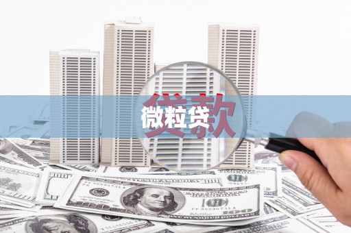 应县微粒贷