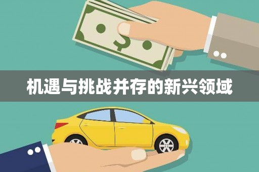 应县机遇与挑战并存的新兴领域