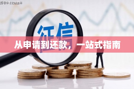 应县从申请到还款，一站式指南