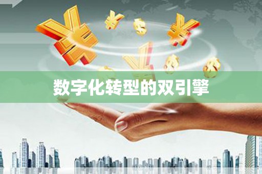 应县数字化转型的双引擎