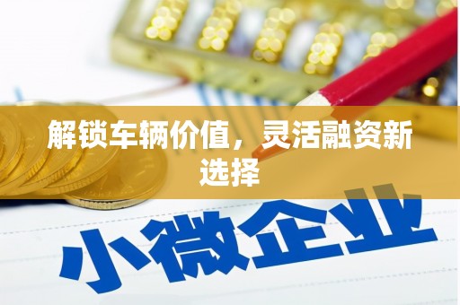 应县解锁车辆价值，灵活融资新选择