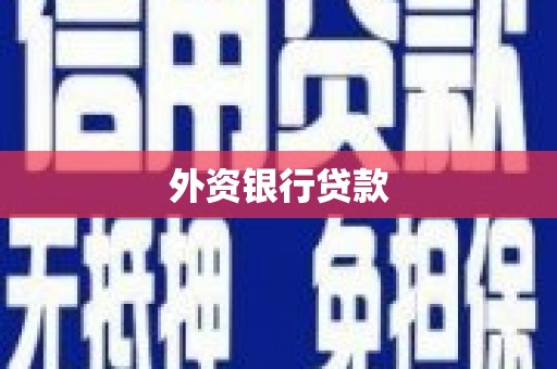 应县外资银行贷款