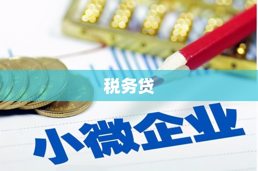 应县税务贷