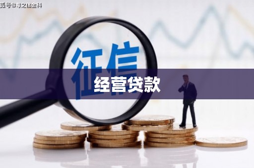 应县经营贷款