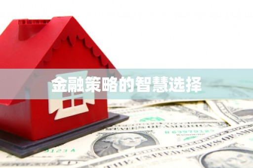 应县金融策略的智慧选择