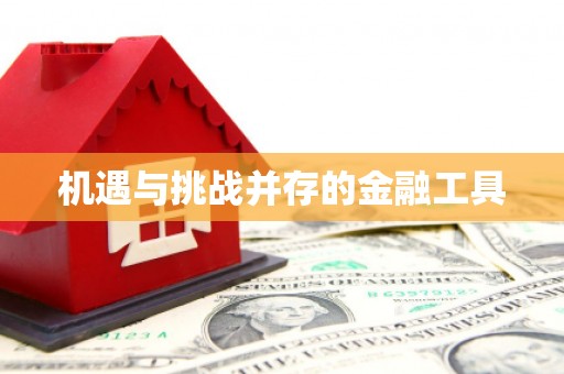 应县机遇与挑战并存的金融工具