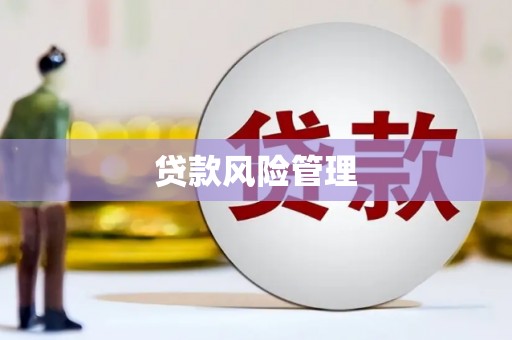 应县贷款风险管理