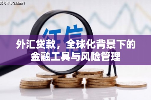 应县外汇贷款，全球化背景下的金融工具与风险管理