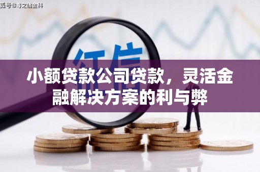 应县小额贷款公司贷款，灵活金融解决方案的利与弊